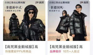 抖音官方店铺仅卖出1件？ 羽绒服高梵困于高端化，创始人明确“2025再提价”遭客服打脸？｜BUG